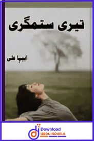 Teri Sitamgari Novel By Abeeha Ali