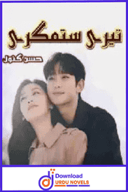 Teri Sitamgari Novel By Husny Kanwal