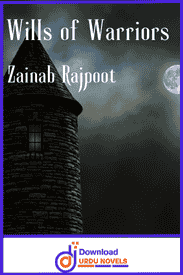 Wills of Warriors Novel by Zainab Rajpoot